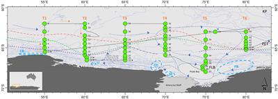 Drivers of phytoplankton distribution, abundance and community composition off East Antarctica, from 55-80°E (CCAMLR Division 58.4.2 East)